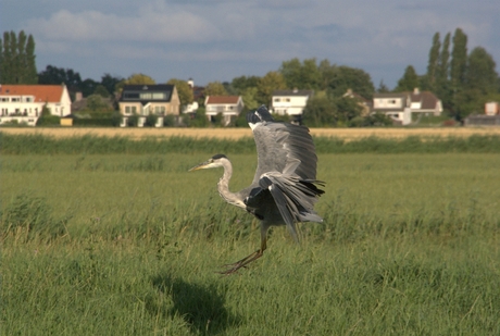 zachte landing