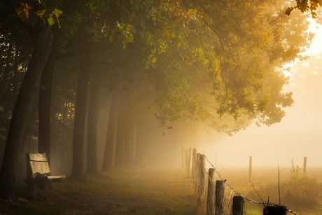 Lonely bench