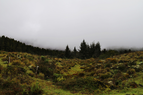 Sierra Nevada, Venezuela