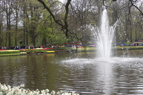 Keukenhof mei 2017