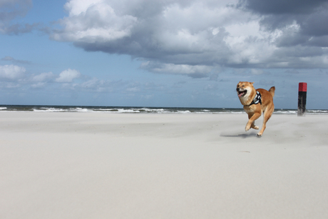 Yuko op het strand