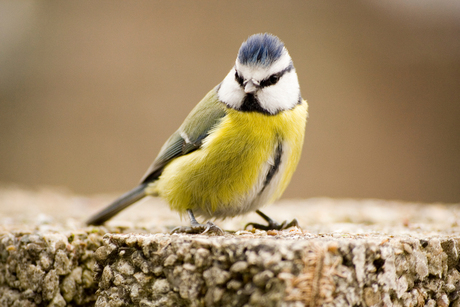 Up close and personal