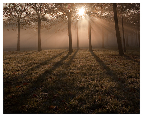 terwijl de zon opkwam