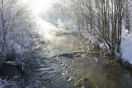 winterkou op de Moos