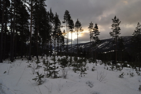 Morgenstemming in Jotunheimen