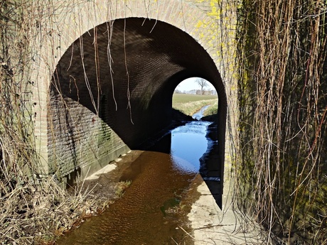 Waterloopje De Smalle beek