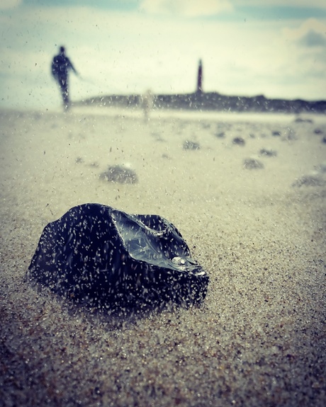 steen op het strand