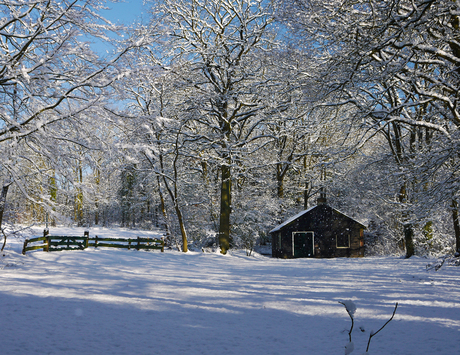 Winterlandschap met huisje