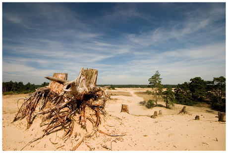 Kootwijkerzand