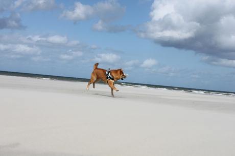 Yuko op het strand in een gekke bui