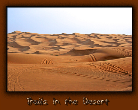 04 - Trails in the desert