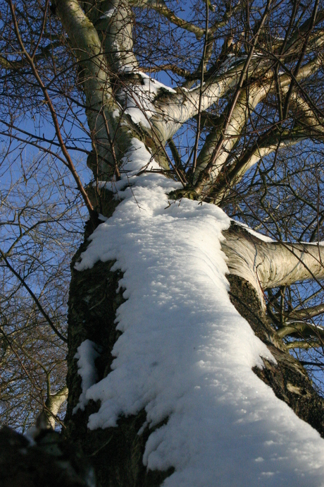 de lucht in