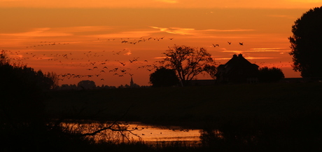 Zonsopgang in de Ooijpolder