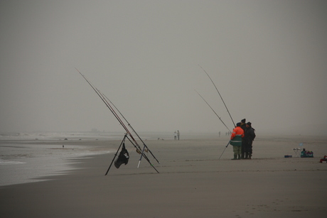 Strand 's-Gravenzande