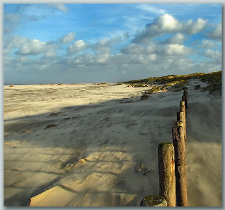 Terschelling 2