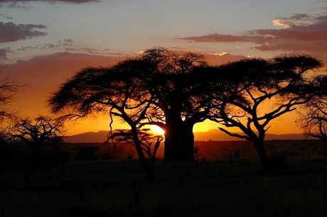 Tanzania bij zonsondergang