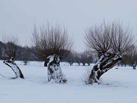 Besneeuwd Wouw's beekdal