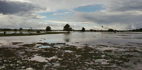 Eiland Marajo