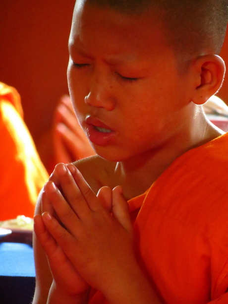 Jonge monnik bidt