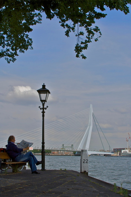 genieten van rotterdam