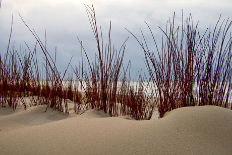 Strand de Koog