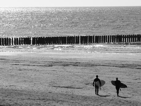 Surfer's Paradise