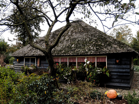 Brabants landschapje