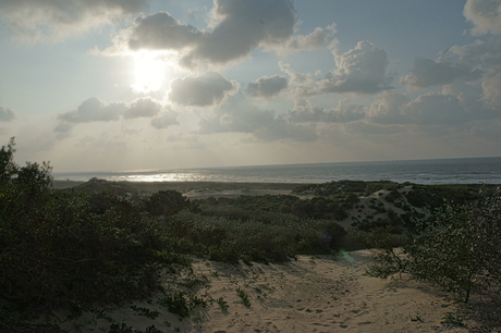 duinen 2