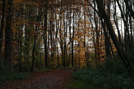 herfst