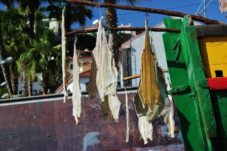 Camara de Lobos