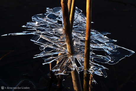 Crystal