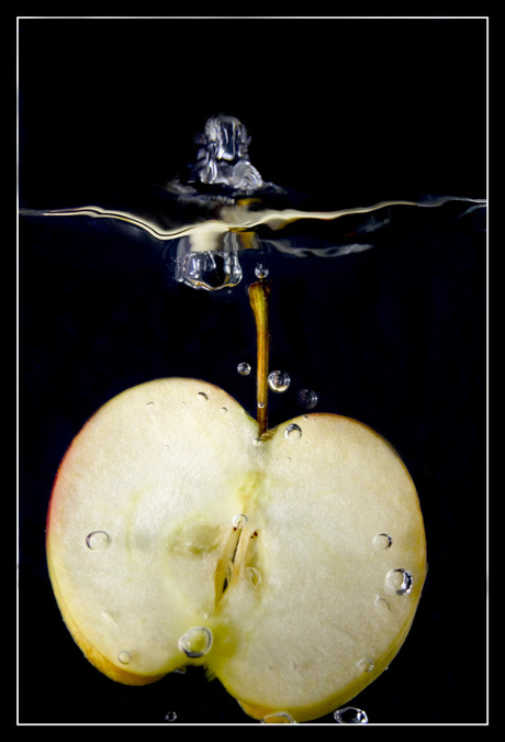 De appel valt niet ver...........