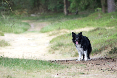 walking with my friend