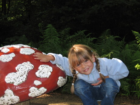 Waar is de kabouter?