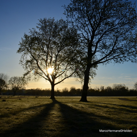 Goede morgen