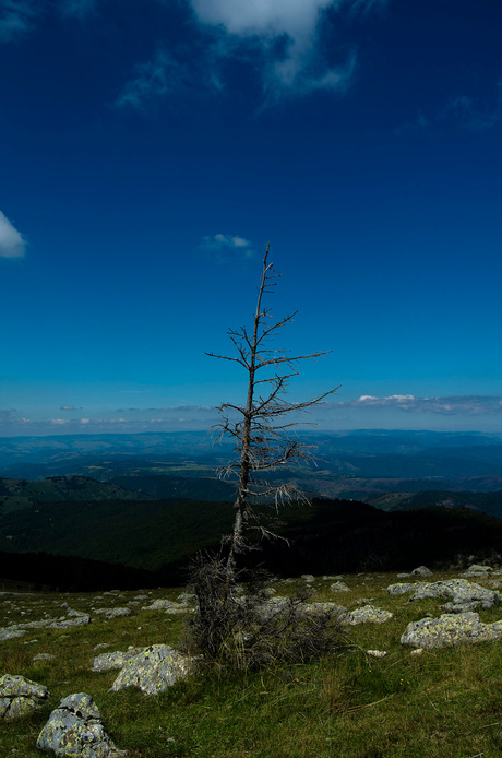 Alleen op de Mont Aigoual