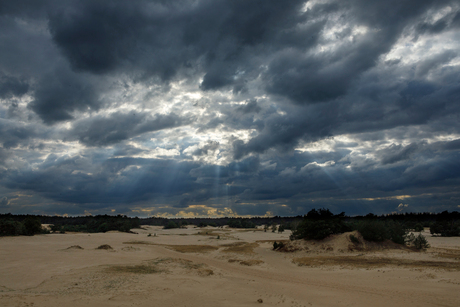 Kootwijkerzand