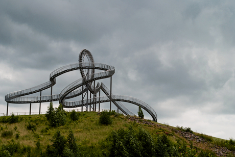 Tiger & Turtle