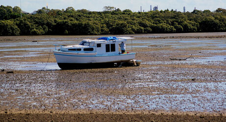 were did all the water go