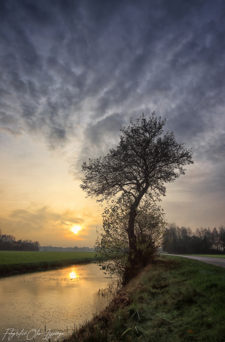 sunrise friesland