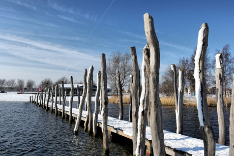 Pier van Zeewolde