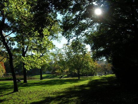 Herfst in Eindhoven