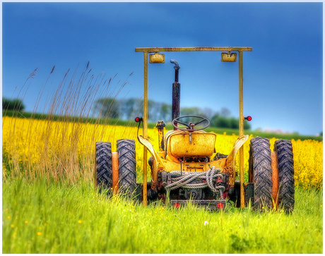 Tractor en Koolzaad