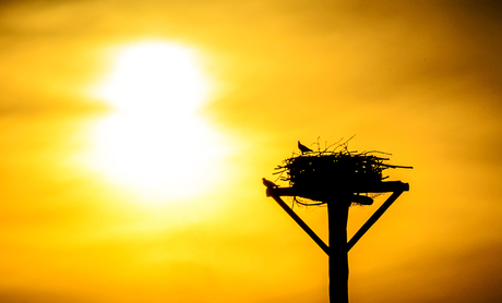 Zonsondergang met silhouette