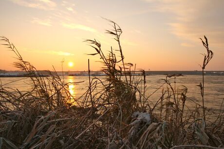 Winter Morning