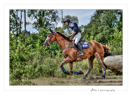 Eventing Emmeloord 15 juli 2017