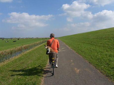 Samen fietsen op Schiermonnikoog