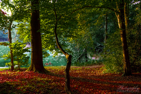 Park Bois de la Cambre Brussel