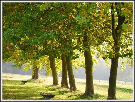 Herfst 2008