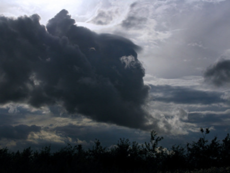 Cumulus congestus pileus (Cl2)